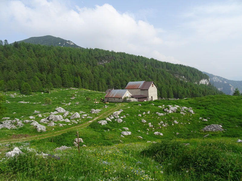 Becco della Ceriola e Cima del Campigolt......Vigolana